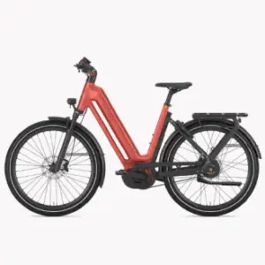 E-Bike Trekking